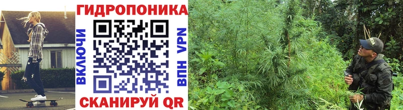 Хочу наркоту Богданович NBOMe  Каннабис  Alpha PVP 