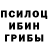 Псилоцибиновые грибы GOLDEN TEACHER Arife Baldan