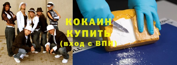 прущие грибы Абинск