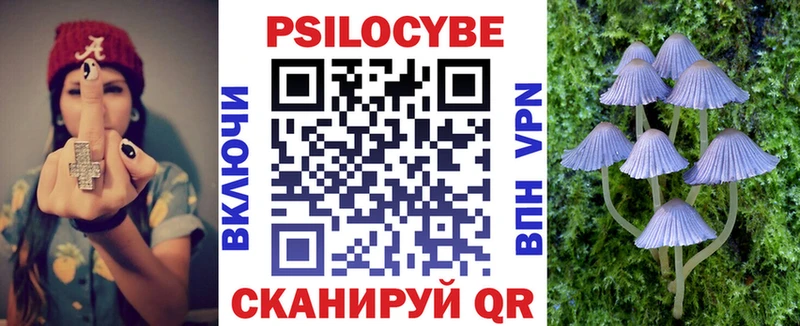 Псилоцибиновые грибы GOLDEN TEACHER  дарнет шоп  Богданович 