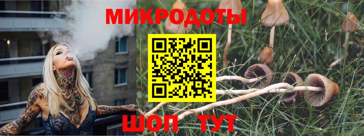Псилоцибиновые грибы прущие грибы  наркота  Богданович  Вход с VPN 